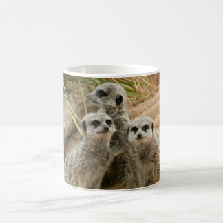 Caneca De Café Meerkats na vigia