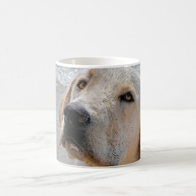 Caneca De Café Melhor Amigo do Homem (Centro)