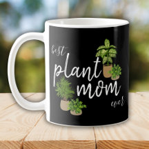 Melhor Planta Mãe De Plantas Inteiras Muja De Café