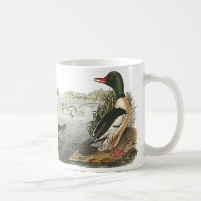 Caneca De Café Merganso comum, John Audubon (Direita)