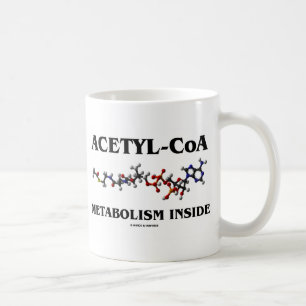 Caneca De Café Metabolismo de Acetil-CoA Dentro da Molécula Quími