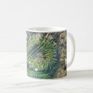 Caneca De Café Meyers Beach North, Dourada Beach, Oregon