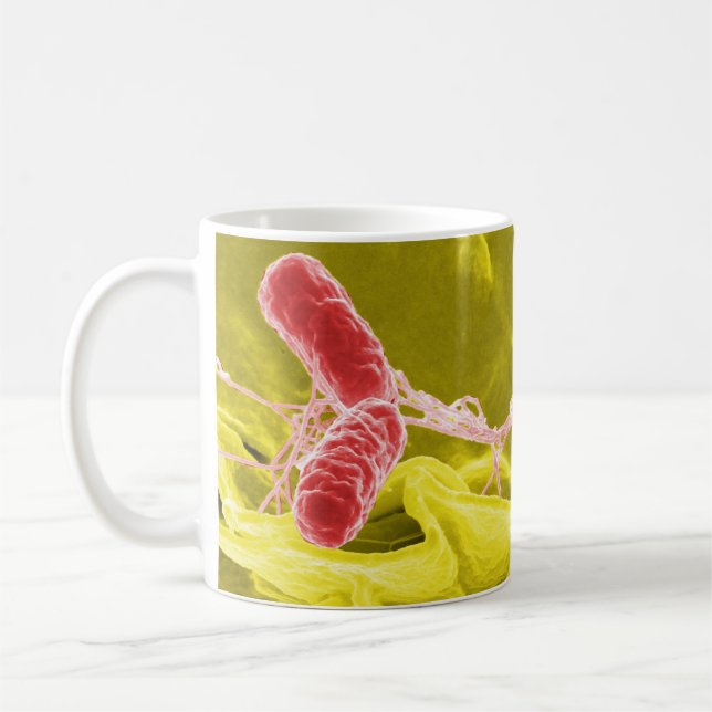 Caneca De Café Micrografia de elétron que mostra as salmonelas (Esquerda)
