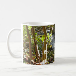 Caneca De Café Mingus Creek nas Smoky Mountains
