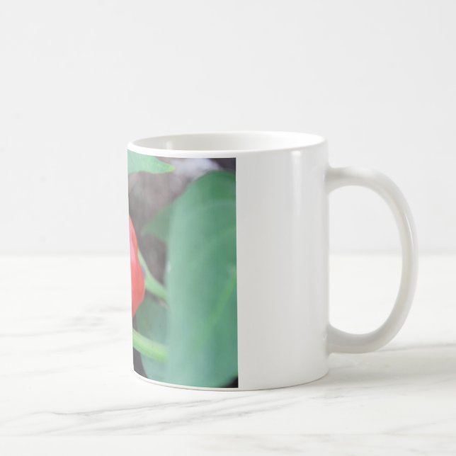 Caneca De Café Mistura de hortas-pimenta (Direita)