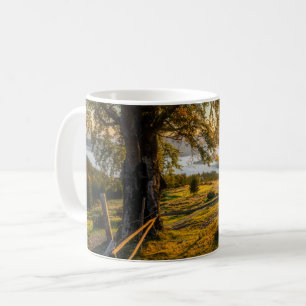 Caneca De Café Misty Dawn em uma Floresta