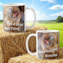 Modelo de Fotografia da Cabeça de Frango Inclinada