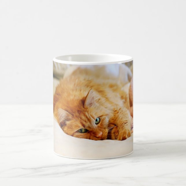 Caneca De Café Molho De Gato De Laranja Doce (Centro)