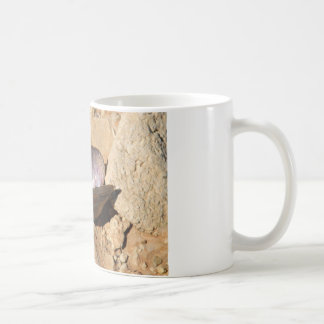 Caneca De Café Moluscos Shell