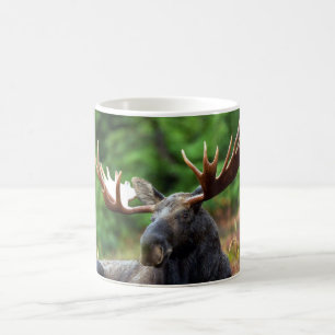 Caneca De Café Moose Coffee Mug