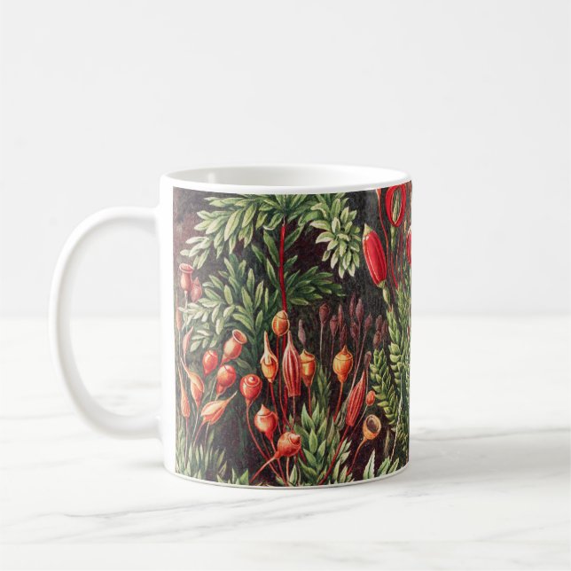 Caneca De Café Mosses, Muscinae Laubmoose por Ernst Haeckel (Esquerda)