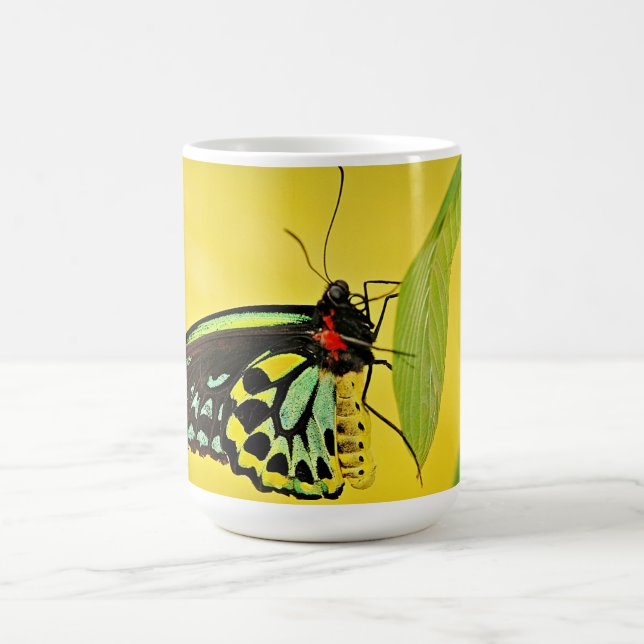Caneca De Café Mug (Centro)