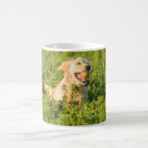 Mug com Imagem do Retriever de Ouro no Campo