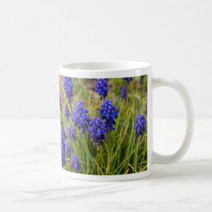 Caneca De Café Mug De Café Da Família Hyacinths