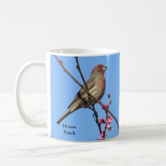 Caneca De Café Mug de Café Finch House por BirdingCollectibles