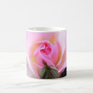 Caneca De Café Mug De Café Rosa Rosa Rosa Rosa Perfeito