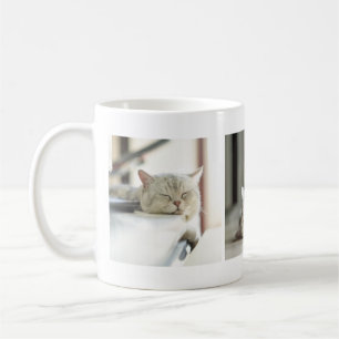 Caneca De Café Mug de Colagem de Fotos de Adoráveis Gatinhas Cen