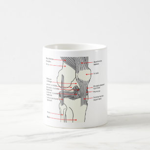 Caneca De Café MUG Diagrama anatômico da articulação do joelho