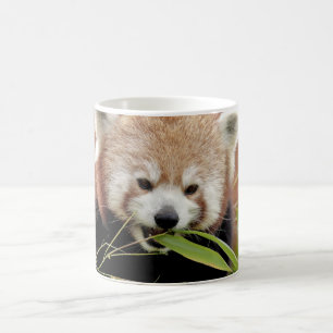 Caneca De Café Mug Photo Red Panda, animais.