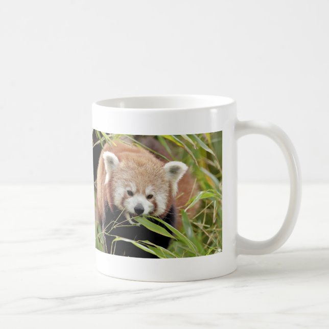Caneca De Café Mug Photo Red Panda, animais 0397. (Direita)