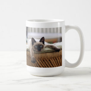 CANECA DE CAFÉ MÚGS DE CAFÉ DE FOTOGRAFIA DE GATO DE PET PERSONAL