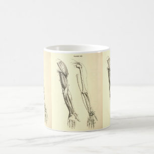 Caneca De Café Músculos da anatomia   do vintage e ossos do braço