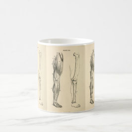 Caneca De Café Músculos da anatomia |   do vintage e ossos do pé