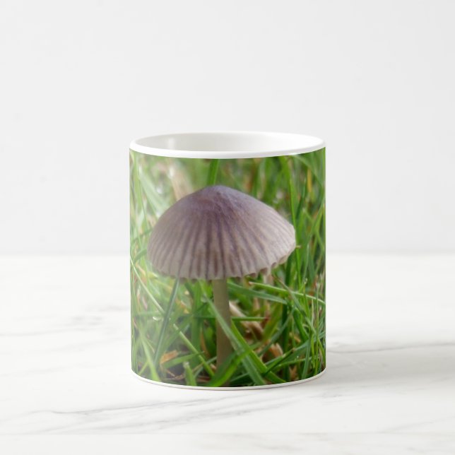 Caneca De Café Mushroom (Centro)