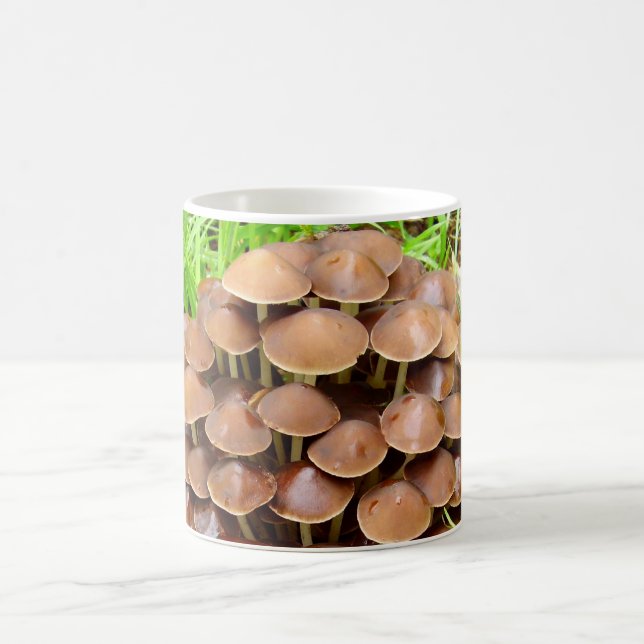 Caneca De Café Mycena inclinata Mushroom Mug (Centro)