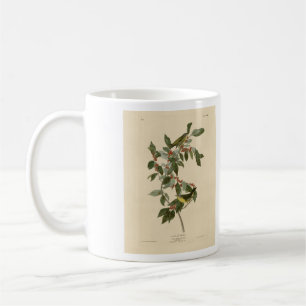 Caneca De Café Nashville Warbler das Aves da América de Audubon