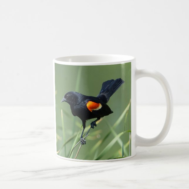 Caneca De Café Nature Journey Red-Winged Black Bird (Direita)