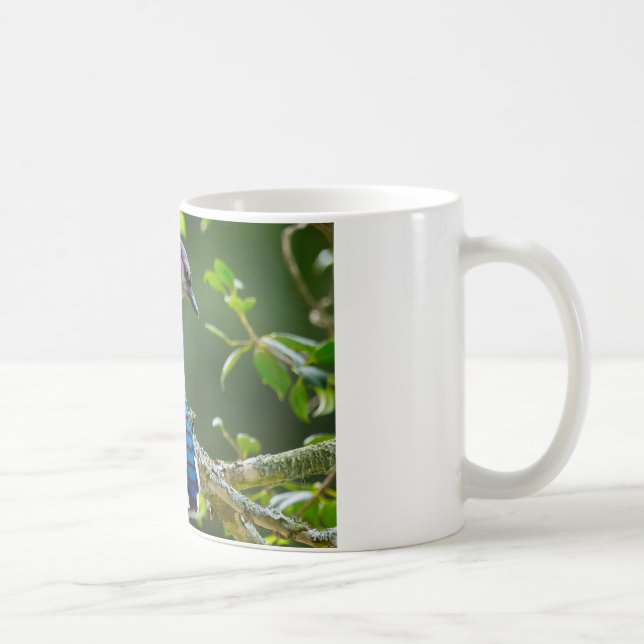 Caneca De Café Natureza Fotografia Shy Blue Jay Roupa presente (Direita)