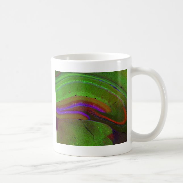 Caneca De Café Neurônios de Hippocampal (Direita)