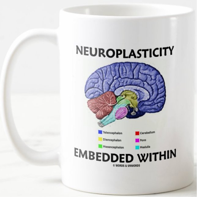 Caneca De Café Neuroplasticidade Incorporada Dentro Da Anatomia C (Brainy mug for anyone who learns a lot and in different ways w/ "Neuroplasticity Embedded Within")
