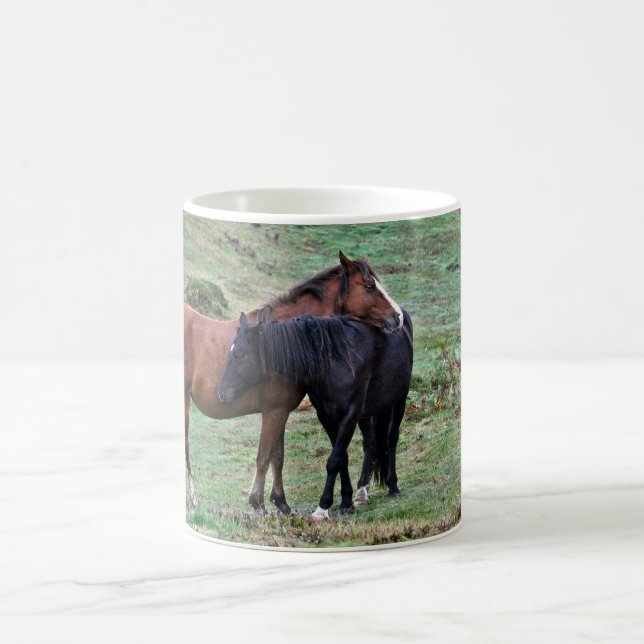 Caneca De Café New Forest Ponies de Hampshire Inglaterra (Centro)