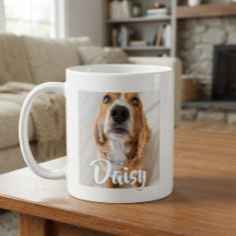 Nome de Letra Elegante Cachorro Gato Pet Foto