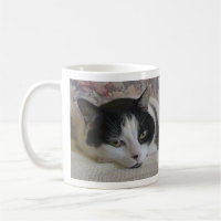 Nome do Monograma de Foto de Gato Preto Branco-Cin