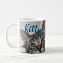Nome e Foto de Gato Personalizado Simples Moderno 