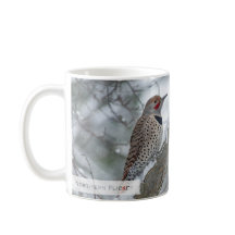 Norte Flicker Isaiah 1:18 KJV