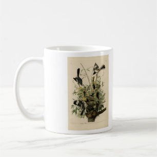Caneca De Café Norte Mocking Bird, as aves da América de Audubon