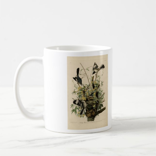 Caneca De Café Norte Mocking Bird, as aves da América de Audubon (Esquerda)