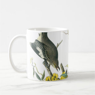 Caneca De Café Norte Mockingbird por Audubon
