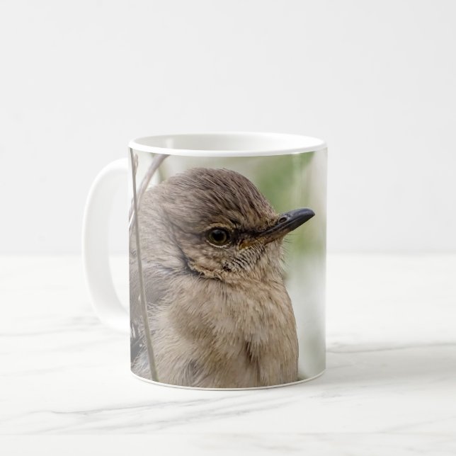 Caneca De Café Norte Mockingbird Retrato Bird Foto (Frente Esquerda)