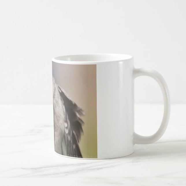 Caneca De Café Norte Mockingbird toma Roupa e presentes (Direita)