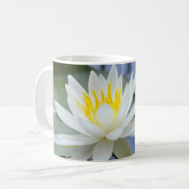 Caneca De Café Nunca Desistir De Água