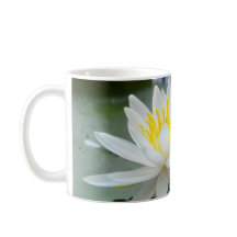 Nunca Desistir De Água