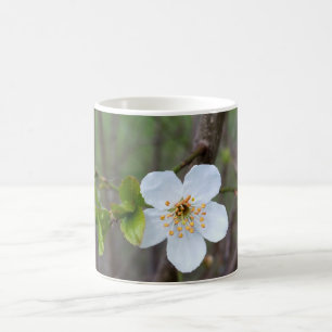 Caneca De Café O branco da primavera
