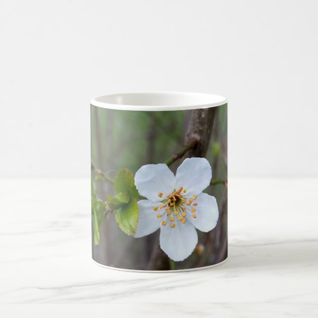 Caneca De Café O branco da primavera (Centro)
