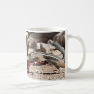 Caneca De Café O café Squirrels a caneca