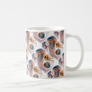 Caneca De Café O disco Medusae de Ernst Haeckel
